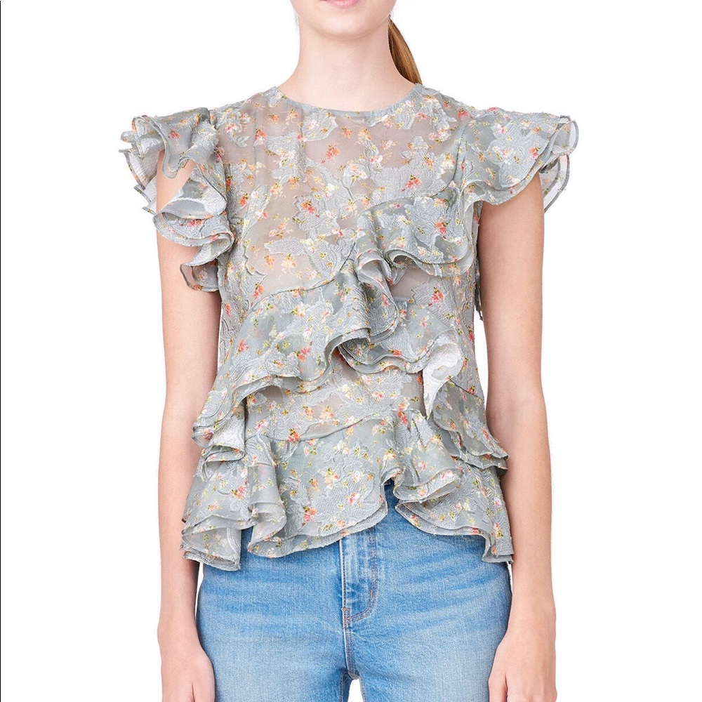 Rebecca Taylor floral Organza ruffle blouse